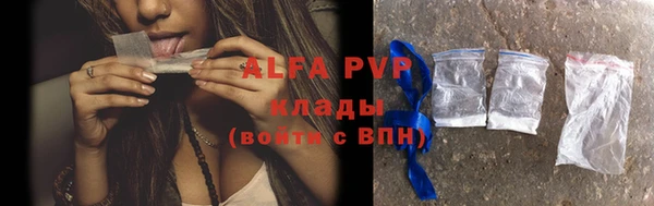 spice Аркадак
