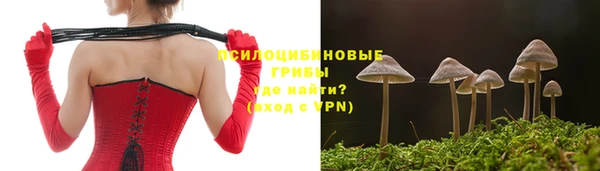 spice Аркадак