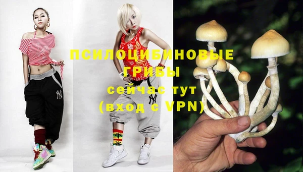 spice Аркадак