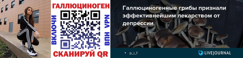 кракен зеркало  Сегежа  Псилоцибиновые грибы прущие грибы 